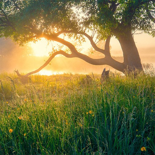 Like hőszivattyú I hőszivattyú telepítés, értékesítés környezetvédelem